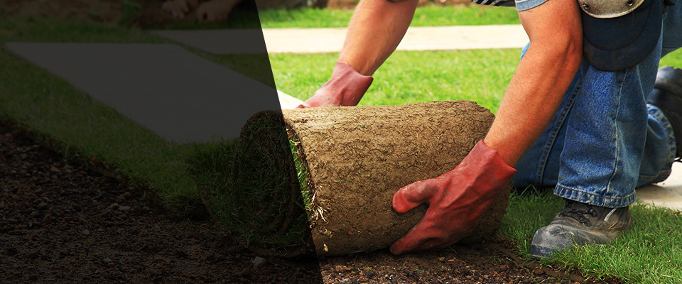 Copiague Landscapers